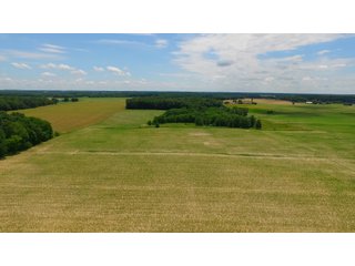 Property photo 8 - REAL ESTATE AUCTION - 26.61+/- ACRES IN NOBLE COUNTY, INDIANA
